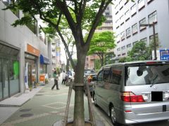IMG_8106.jpg(23199 byte)